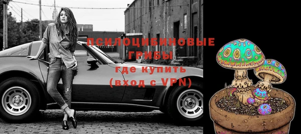 mdpv Волоколамск